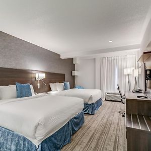 Studio 2 Queen Beds
